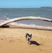 Debra Cody - Facebook