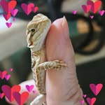 Deb Cohen - @dcohen2414 - Instagram