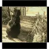 debcohen7 - @debcohen7 - TikTok