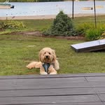 Deb Coleman - @deb_lynne22 - Instagram