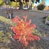 Deb Collier - @deb.collier26 - TikTok