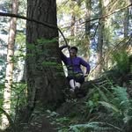 Deb Collier - @debzi589 - Instagram