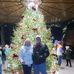 Deb Collier - Facebook