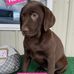 Deb Colson - Facebook