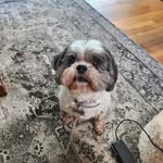 Deb Colton Brosdahl - @debbrosdahl - Instagram