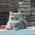 Deb Conley - Facebook
