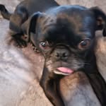 Deb Connett - @connettdeb - Instagram