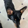debbieconnett7 - @debbieconnett7 - TikTok