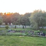 Deb Connolly - @deb.mom.nana - Instagram