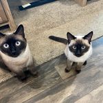 Deb Conway - @dmcjr123 - Instagram