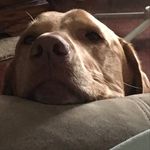 Deb Conway Heiland - @heilanddebconway - Instagram