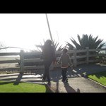 Deb Conway Smallhorne - @debsmallhorne - Instagram
