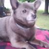 Debbie Kruse525 - @debcooleymamas4798gmail - TikTok