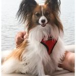 DebbieCooley - @debcooley64 - Instagram
