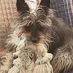 Deb Corwin - @corwindeb - Instagram