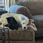 Deb Cotter - @cotter_deb - Instagram