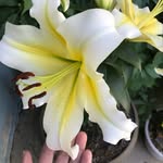 Deb Cotter - @cottmommie - Instagram