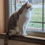 Deb Cotterman - @cottermandeb - Instagram