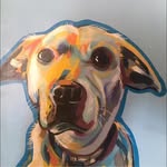 Debra Cairns Cotter - @debcotter01 - Instagram