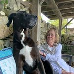 Deb Cotton - @the_deb_and_raleigh - Instagram