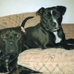deb coulson - @coulsondeb - Instagram