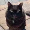Debbie - @debbie.coulson - TikTok