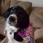 Deb Cowan - @deb_cowan - Instagram
