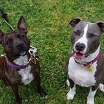 Deb Cowan - @deb.cowan.79 - Instagram