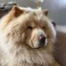 Deb Craft - Facebook