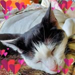 Deb Crandall - @tdcran - Instagram