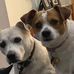 Debb Crandall - Facebook