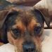 Deb Craven - Facebook