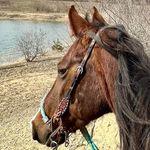 Debbie Porter Craven - @debcraven1 - Instagram