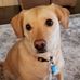 Deb Crews - Facebook