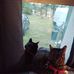 Deb Crews - Facebook