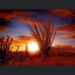 Deb Crews - @chalice0316 - Instagram