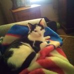 Deb Crider - Facebook