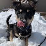 Deb Crider - @debg434 - Instagram