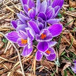 Debbie Crowder - @debcrowder526 - Instagram
