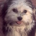 Deb Crowder - @crowderds - Instagram