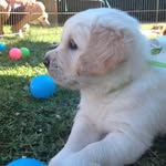 Deb Crowder - @deb.crowder.3 - Instagram