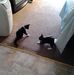 Deborah Crowder - Facebook