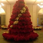 Debra Crowder - @dccrowder2003 - Instagram