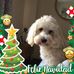 Deb Crowley - Facebook