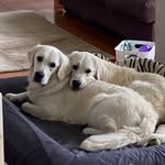 Deb Crumpton - @deb.crumpton - Instagram