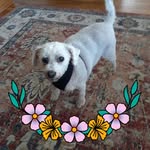 Debra Crump - @udubdeb - Instagram