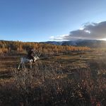 Debbi D Culbertson - @debbidculbertson - Instagram