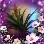 Debra Culbertson - @debra.culbertson.921 - Instagram