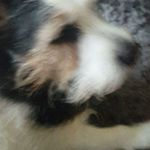 Deb Cullen - @deb.cullen.18 - Instagram