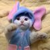 Deb Cullen - Facebook
